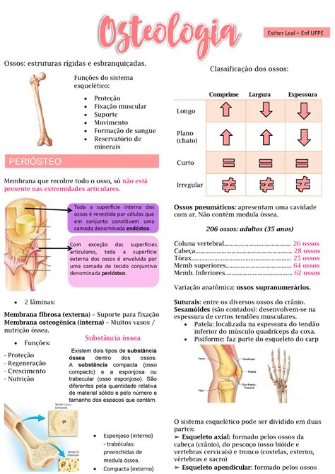 Osteologia Ossos Estruturas Rígidas E Esbranquiçadas Membrana Que