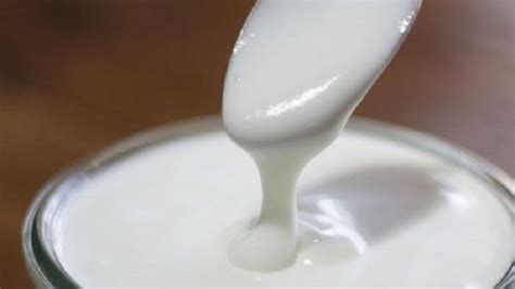 5 Manfaat Susu Kefir Minuman Probiotik Yang Menyehatkan Tubuh