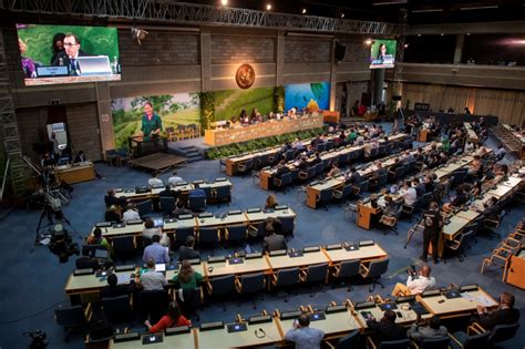 Six Moments That Will Help Define United Nations Environment Assembly