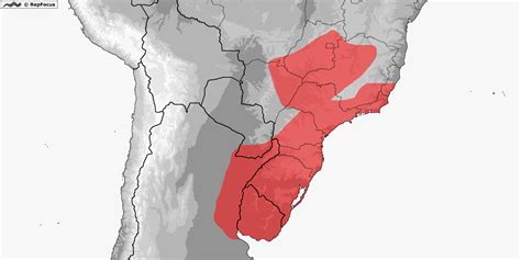 Distribution Of Mesotes RepFocus