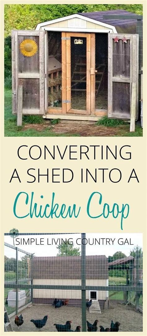 Diy How To Turn A Shed Into A Chicken Coop Use What You Have On Hand