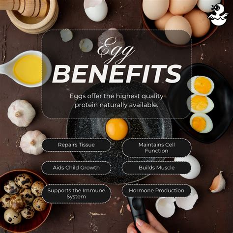 Cracking Egg Nutrition With Ise Premium Eggs Benefits Of Eating Eggs