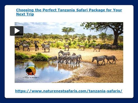 PPT Choosing The Perfect Tanzania Safari Package For Your Next Trip