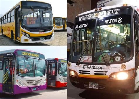 ¿qué Buses De Transporte De Lima Metropolitana Dejaron De Circular Para