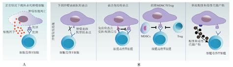 行研未来可期全球肿瘤疫苗研发进展 肿瘤 新浪财经 新浪网