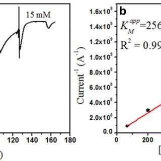 A Chronoamperometric Response Of A Alp Modified Microelectrode E