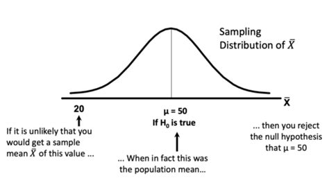 Stats Chapter Fundamentals Of Hypothesis Testing One Sample