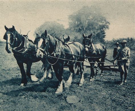 Women S Land Army Harrowing Oxfordshire