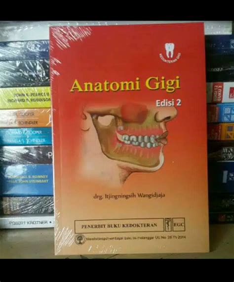 Jual Anatomi Gigi Edisi 2 Itjingningsih Di Lapak Tb Buku Murah Bukalapak