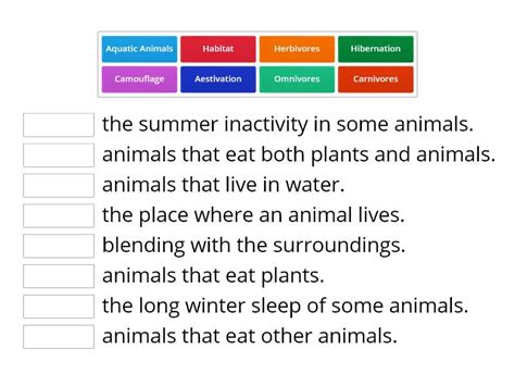 Adaptation in animals - Match up