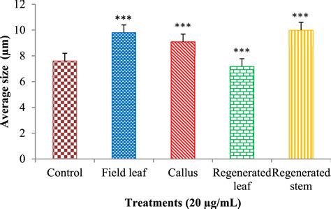 Assessment Of Antibacterial Activity And Cytotoxic Effects Of In Vitro