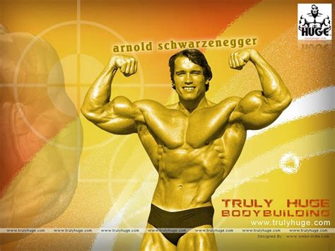 Arnold Bodybuilding Wallpapers Top Free Arnold Bodybuilding