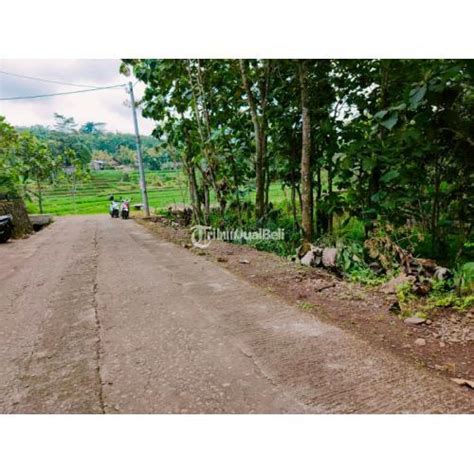 Dijual Tanah Subur View Sawah Karangpandan Di Karanganyar