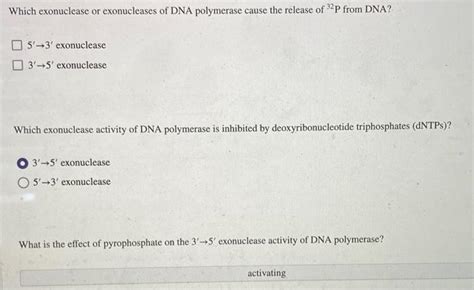 Solved Which exonuclease or exonucleases of DNA polymerase | Chegg.com