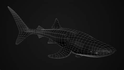 Whale Shark 3d Model 39 Ma Obj Fbx Free3d