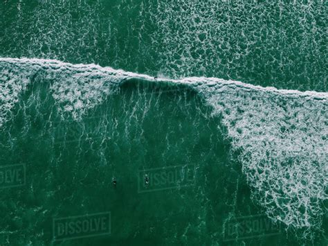 Aerial view of people surfing in sea, False Bay, Cape Town, South ...