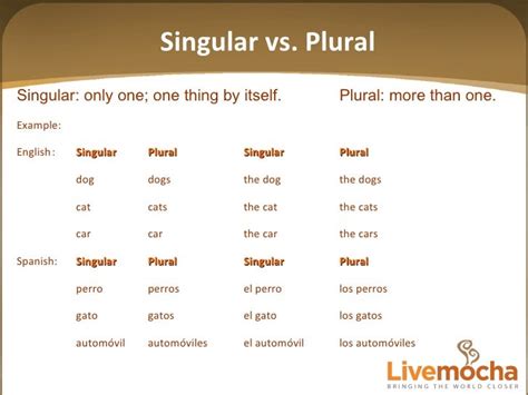 03 Spanish Singular And Plural From