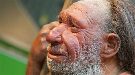 New Study Links Neanderthal Dna To Modern Diseases