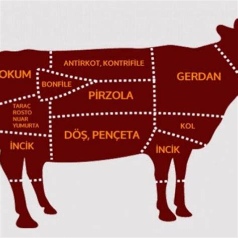 ETİN BÖLÜMLERİ NELERDİR ET ALIRKEN NELERE DİKKAT EDİLMELİ Baykal Et