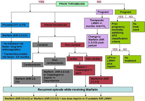 Treatment Algorithm For The Thrombotic And Obstetric Complications