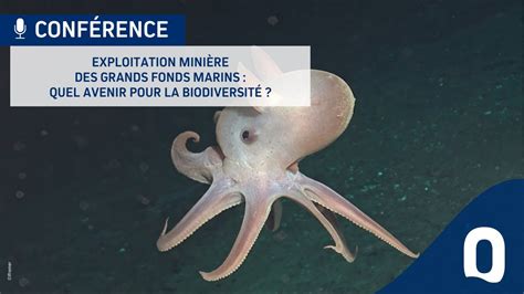 Conf Rence Exploitation Mini Re Des Grands Fonds Marins Quel Avenir