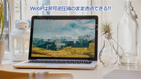 web webp web