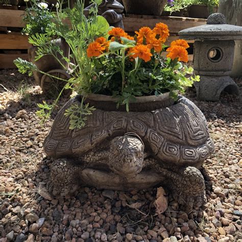 Campania Turtle Planter - McCumber Fine Gardens