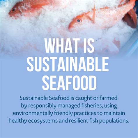 What Is Sustainable Seafood New Orleans And Company