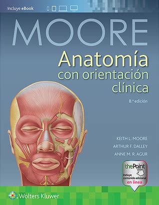 Read Epub Anatom A Con Orientaci N Cl Nica By Keith L Moore On