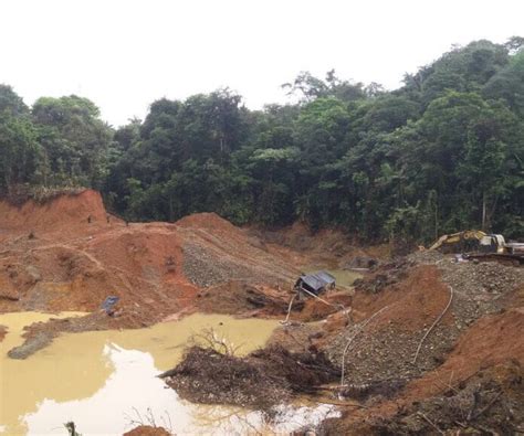 La Mayor Reserva Indígena De Brasil Está Invadida Por La Minería Ilegal