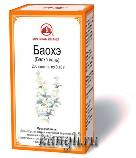 БАОХЭ (БАО ХЭ ВАНЬ) 保和丸 КАНЛИ