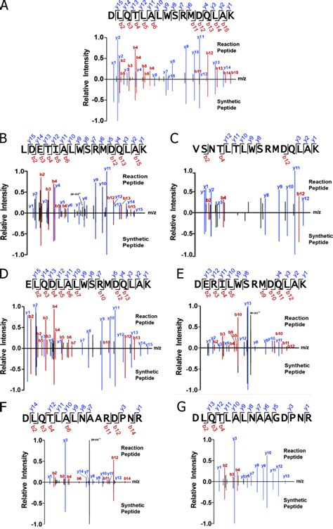 Msms Fragmentation Patterns For The Seven Full Length Functional Download Scientific Diagram