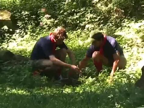 Gay Gangbanged Outside Boyfriendtv