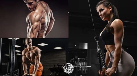 Do These Three Exercises For Stronger Triceps Angry Lion Fitness