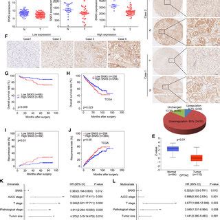 SNX5 Is Downregulated And Associated With Poor Prognosis In CcRCC