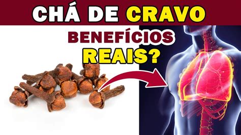 7 benefícios COMPROVADOS do CHÁ de CRAVO DA ÍNDIA YouTube