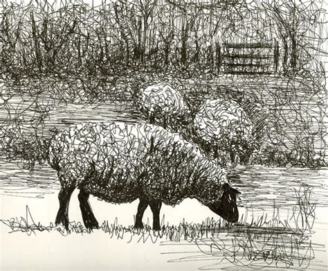 Responses Henry Moores Sheep Sketchbook 1980 Sheep Drawing Henry