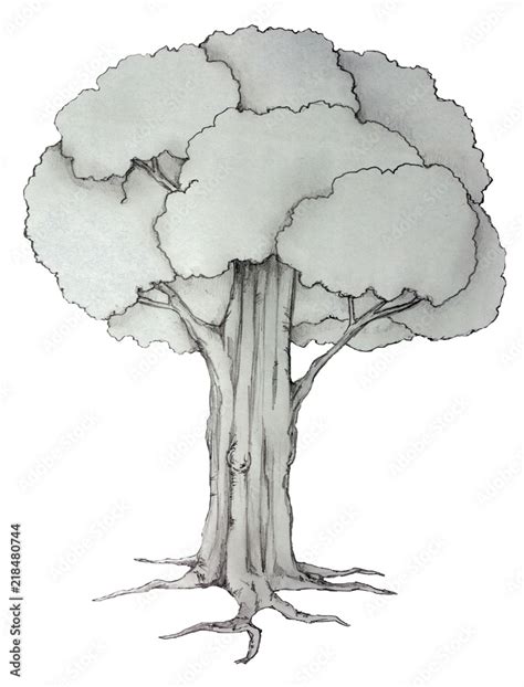 Object of sketch drawing nature big tree on white background with ...