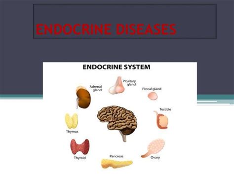 Endocrine Disorders