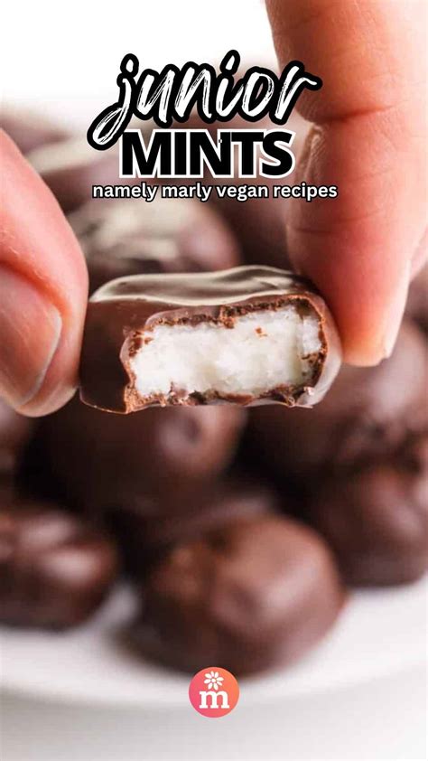 Vegan Junior Mints - Creamy Mint Chocolate Delight - Namely Marly