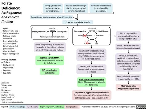 Folate Deficiency | Calgary Guide