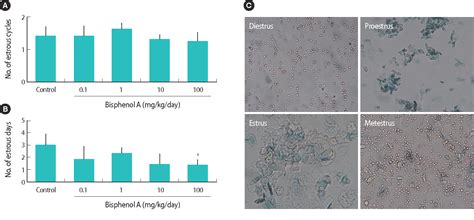 Figure 3 From Effects Of Early Prepubertal Exposure To Bisphenol A On