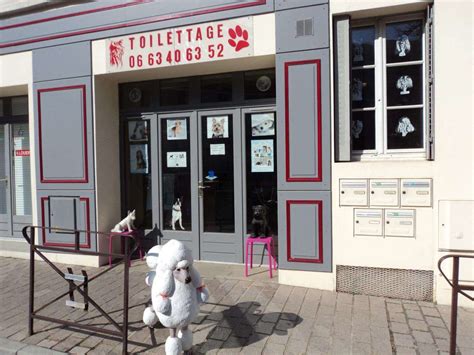 frimousse toilettage salon de toilettage auxerre  adresse