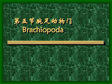 第四章 第五节 腕足动物 word文档在线阅读与下载 无忧文档