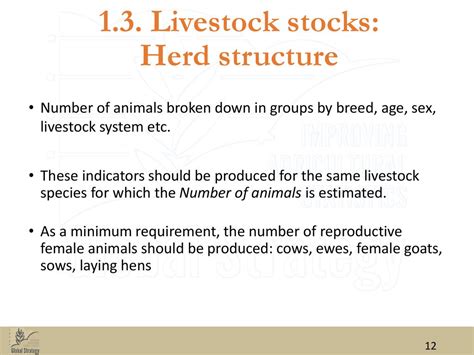 Livestock Production And Productivity Ppt Download