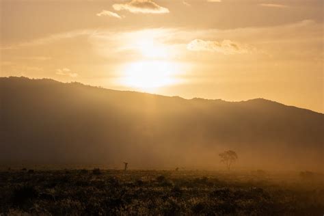 People Silhouette during Sunset · Free Stock Photo