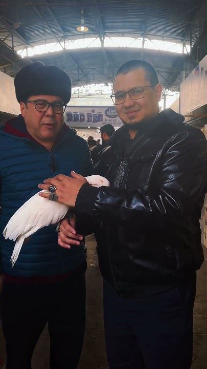 Устоз билан сухбат #top #tashkent #bazaar #uzbekistan #какаду #ара # ...