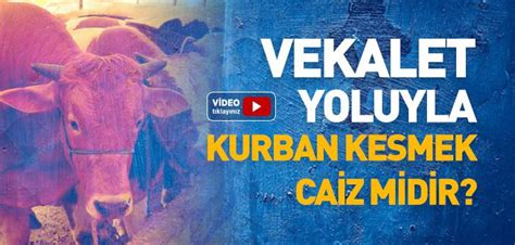 Vekalet Yoluyla Kurban Kesmek Caiz Midir Slam Ve Hsan