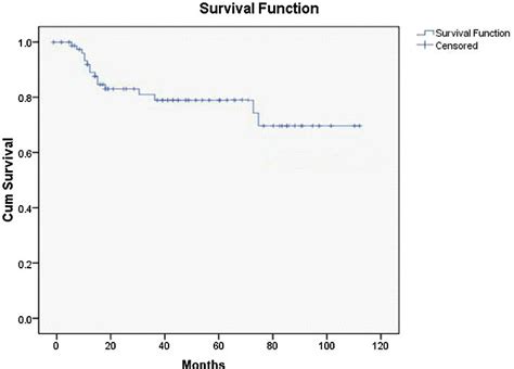 Kaplan Meier Overall Survival Curve Download Scientific Diagram