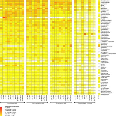 Heat Map With The Relative Abundances Of The 70 Most Abundant Bacterial